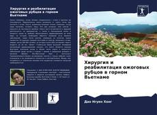Bookcover of Хирургия и реабилитация ожоговых рубцов в горном Вьетнаме
