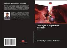 Géologie d'ingénierie avancée的封面