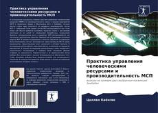 Bookcover of Практика управления человеческими ресурсами и производительность МСП
