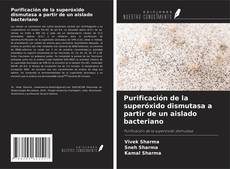 Обложка Purificación de la superóxido dismutasa a partir de un aislado bacteriano