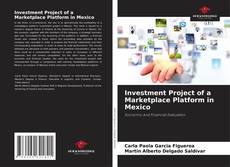 Copertina di Investment Project of a Marketplace Platform in Mexico