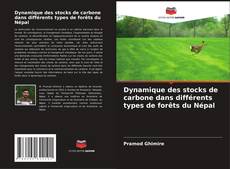 Bookcover of Dynamique des stocks de carbone dans différents types de forêts du Népal