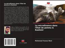 Capa do livro de La microfinance dans l'État de Jammu & Kashmir 