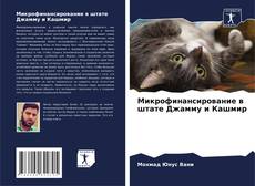 Bookcover of Микрофинансирование в штате Джамму и Кашмир