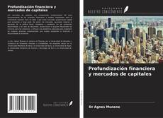 Profundización financiera y mercados de capitales kitap kapağı