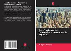 Bookcover of Aprofundamento financeiro e mercados de capitais