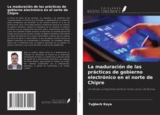 La maduración de las prácticas de gobierno electrónico en el norte de Chipre的封面