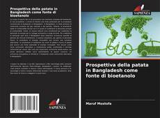 Prospettiva della patata in Bangladesh come fonte di bioetanolo kitap kapağı