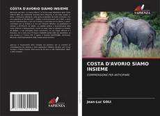 Обложка COSTA D'AVORIO SIAMO INSIEME