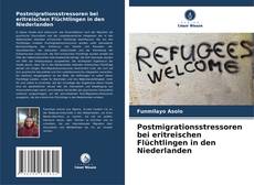 Postmigrationsstressoren bei eritreischen Flüchtlingen in den Niederlanden的封面