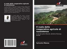 Il ruolo delle cooperative agricole di sussistenza kitap kapağı