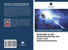 Buchcover von Geomatik in der Bewirtschaftung von Land- und Wasserressourcen