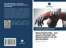 Naturheilkunde - ein neues Konzept der Naturmedizin im 21. Jahrhundert的封面
