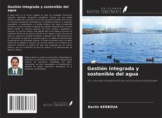 Gestión integrada y sostenible del agua kitap kapağı