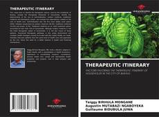 Copertina di THERAPEUTIC ITINERARY