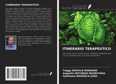 ITINERARIO TERAPÉUTICO kitap kapağı