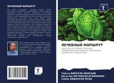 Buchcover von ЛЕЧЕБНЫЙ МАРШРУТ