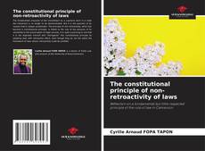 Copertina di The constitutional principle of non-retroactivity of laws