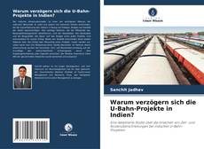 Buchcover von Warum verzögern sich die U-Bahn-Projekte in Indien?