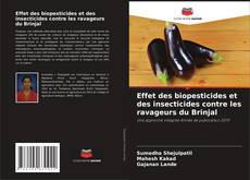 Capa do livro de Effet des biopesticides et des insecticides contre les ravageurs du Brinjal 