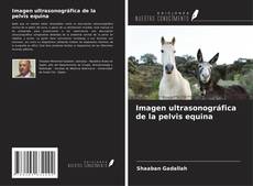 Bookcover of Imagen ultrasonográfica de la pelvis equina