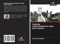 Buchcover von Imaging ultrasonografico della pelvi equina