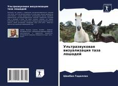 Bookcover of Ультразвуковая визуализация таза лошадей