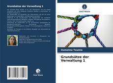 Grundsätze der Verwaltung 1 kitap kapağı