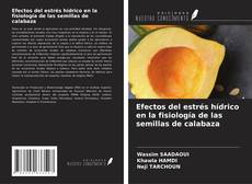 Bookcover of Efectos del estrés hídrico en la fisiología de las semillas de calabaza