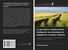 La agricultura climáticamente inteligente, una estrategia de adaptación al cambio climático的封面