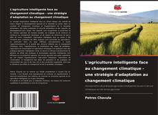 Bookcover of L'agriculture intelligente face au changement climatique - une stratégie d'adaptation au changement climatique