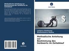 Buchcover von Methodische Anleitung zur Bestimmung des Geldwerts im Zeitablauf