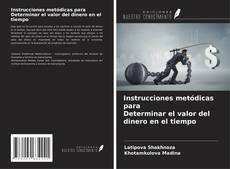 Обложка Instrucciones metódicas para Determinar el valor del dinero en el tiempo