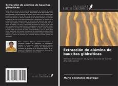 Buchcover von Extracción de alúmina de bauxitas gibbsíticas