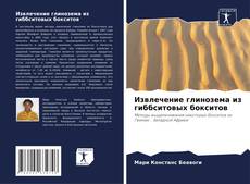 Bookcover of Извлечение глинозема из гиббситовых бокситов