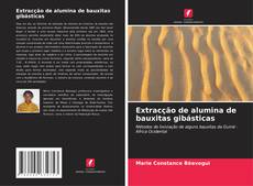 Buchcover von Extracção de alumina de bauxitas gibásticas