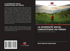LA DIVERSITÉ SOCIO-LINGUISTIQUE AU PÉROU kitap kapağı