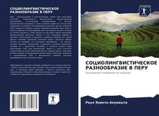 Borítókép a  СОЦИОЛИНГВИСТИЧЕСКОЕ РАЗНООБРАЗИЕ В ПЕРУ - hoz