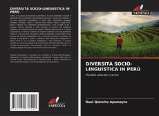 DIVERSITÀ SOCIO-LINGUISTICA IN PERÙ kitap kapağı