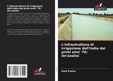 Buchcover von L'infrastruttura di irrigazione dell'India dai primi anni '70: Un'analisi