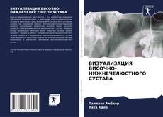 Bookcover of ВИЗУАЛИЗАЦИЯ ВИСОЧНО-НИЖНЕЧЕЛЮСТНОГО СУСТАВА