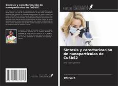 Capa do livro de Síntesis y carectarización de nanopartículas de CuSbS2 