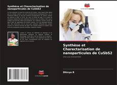 Обложка Synthèse et Charectarisation de nanoparticules de CuSbS2