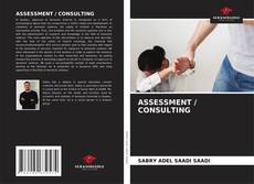 Copertina di ASSESSMENT / CONSULTING