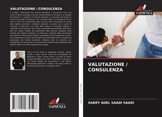 VALUTAZIONE / CONSULENZA kitap kapağı