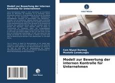 Buchcover von Modell zur Bewertung der internen Kontrolle für Unternehmen