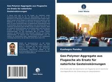 Buchcover von Geo-Polymer-Aggregate aus Flugasche als Ersatz für natürliche Gesteinskörnungen