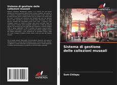 Bookcover of Sistema di gestione delle collezioni museali