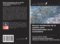 Buchcover von Nuevas tendencias de la zeolita como fotocatalizador en el ecosistema
