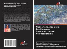 Bookcover of Nuove tendenze della Zeolite come fotocatalizzatore nell'ecosistema